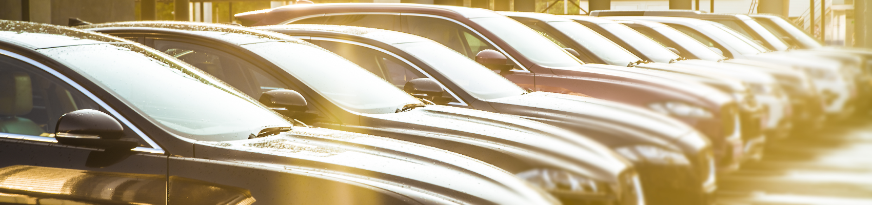 Used Car Dealer Linwood TX